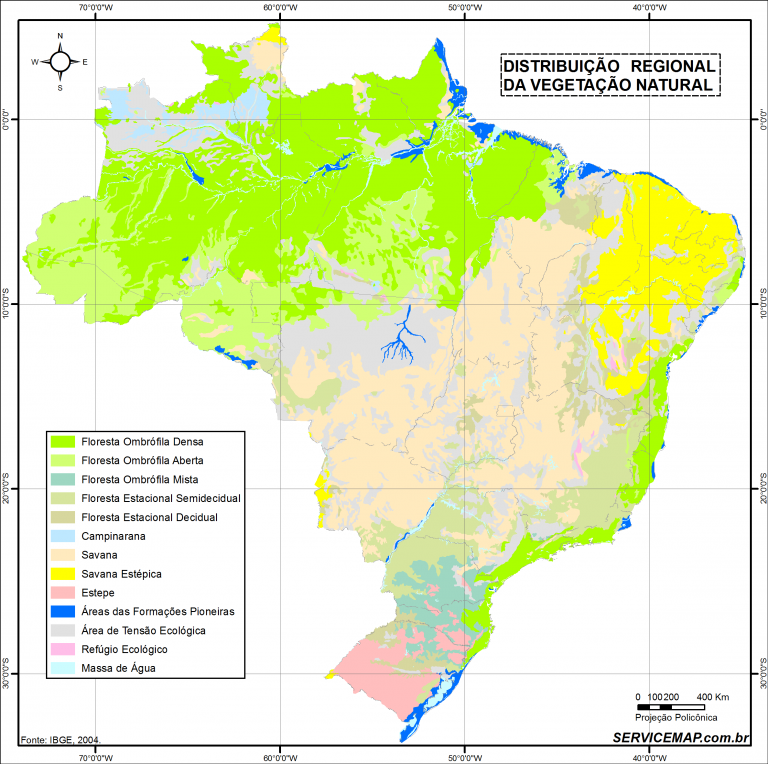 Mapa da distribuição dos tipos de vegetação original do Brasil - IBGE 2004